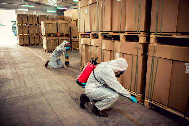 Best Best Pest Control Companies  in Swartz, LA