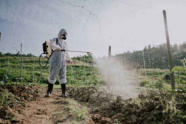 Best Commercial Pest Control Services  in Swartz, LA