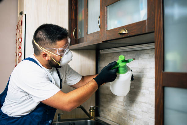 Trusted Swartz, LA Pest Control Experts