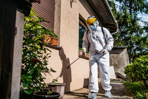 Best Cockroach Control Services  in Swartz, LA