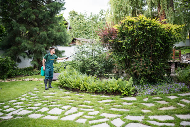 Best Ant Control Services  in Swartz, LA