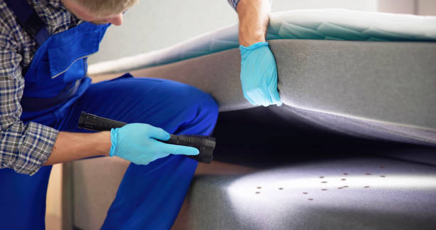 Best Cockroach Control Services  in Swartz, LA