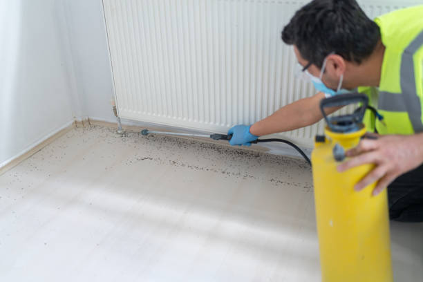 Best Commercial Pest Control Services  in Swartz, LA