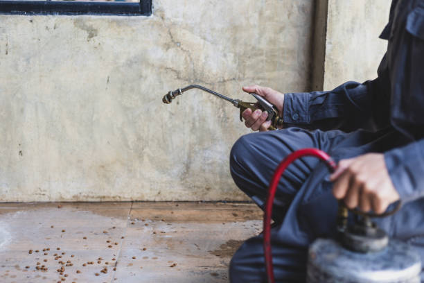 Best Pest Control Near Me in Swartz, LA
